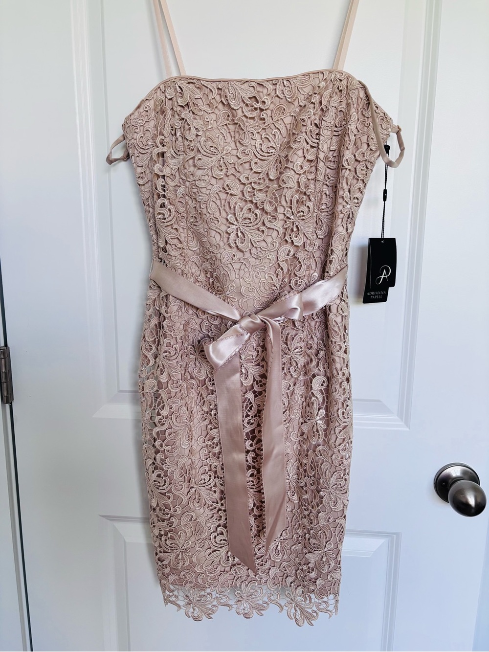 Adrianna Papell Dusty Blush Lace Midi Dress with Satin Waist Tie